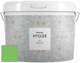 HYGGE Paint Aster интерьерная краска цвет NCS S 0570-G20Y 