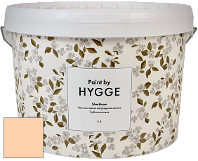 HYGGE Paint Silverbloom интерьерная краска цвет NCS S 0520-Y40R 