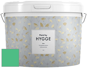 HYGGE Paint Aster интерьерная краска цвет NCS S 1060-G 