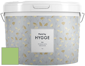 HYGGE Paint Aster интерьерная краска цвет NCS S 1050-G30Y 