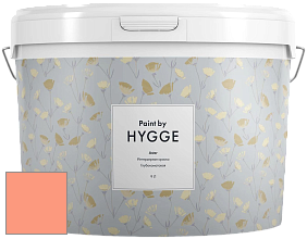 HYGGE Paint Aster интерьерная краска цвет NCS S 0550-Y70R 