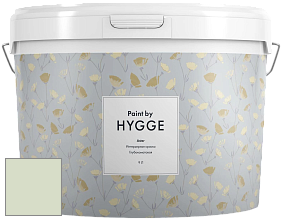 HYGGE Paint Aster интерьерная краска цвет NCS S 1010-G30Y 