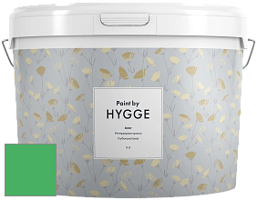 HYGGE Paint Aster интерьерная краска цвет NCS S 1070-G10Y 