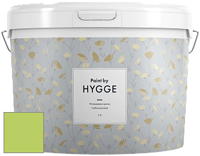 HYGGE Paint Aster интерьерная краска цвет NCS S 0560-G40Y 