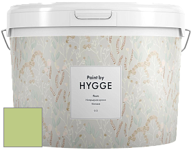 HYGGE Paint Fleurs интерьерная краска цвет NCS S 1040-G40Y 