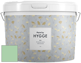 HYGGE Paint Aster интерьерная краска цвет NCS S 1030-G10Y 