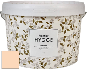 HYGGE Paint Silverbloom интерьерная краска цвет NCS S 0515-Y40R 