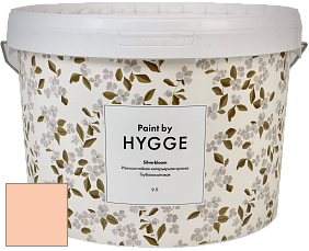 HYGGE Paint Silverbloom интерьерная краска цвет NCS S 0520-Y50R 