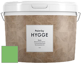 HYGGE Paint Kvarts декоративная краска цвет NCS S 1060-G20Y 