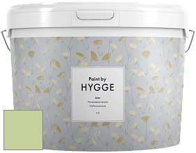 HYGGE Paint Aster интерьерная краска цвет NCS S 1030-G40Y 